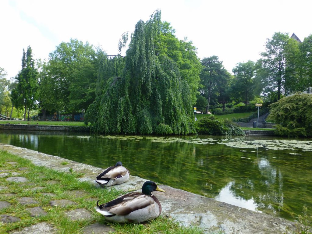 Photoblog: The City of Paderborn - Germany