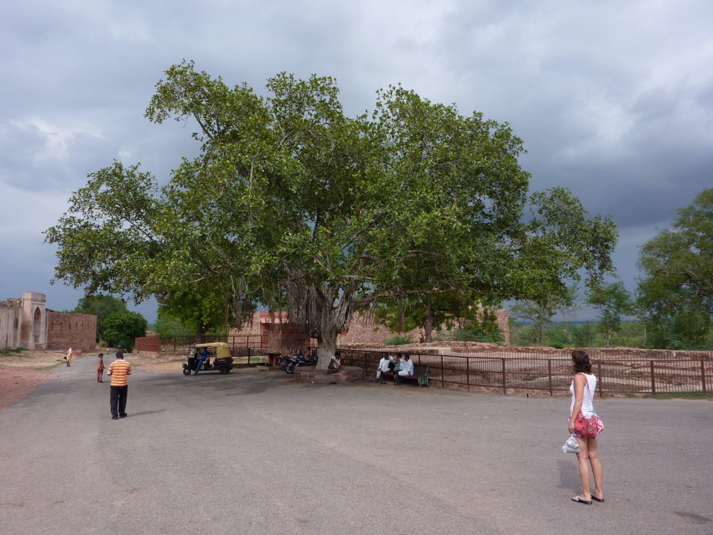 Fatehpur Sikri