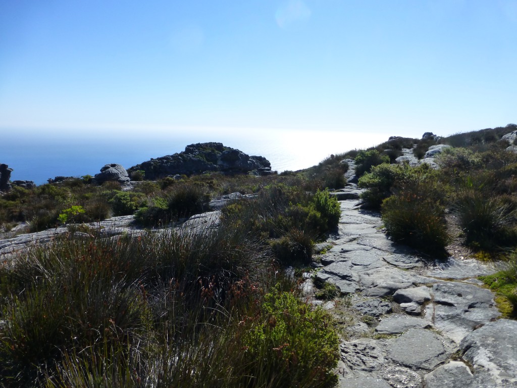 Going Up Table Mountain, Cape Town - South Africa