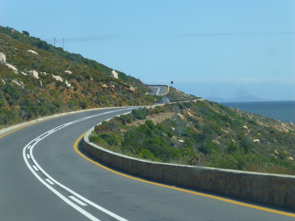 Penquins of Betty's Bay, South Africa