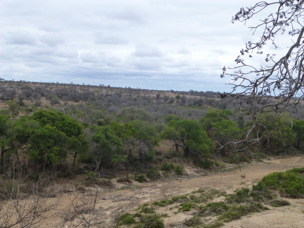 De derde dag van mijn Wildlife Avontuur, Zuid Afrika