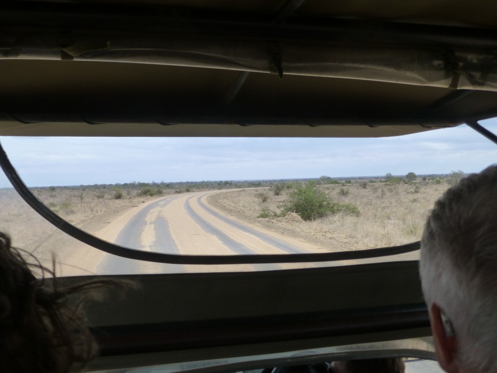 Third day of my Adventure - Safari