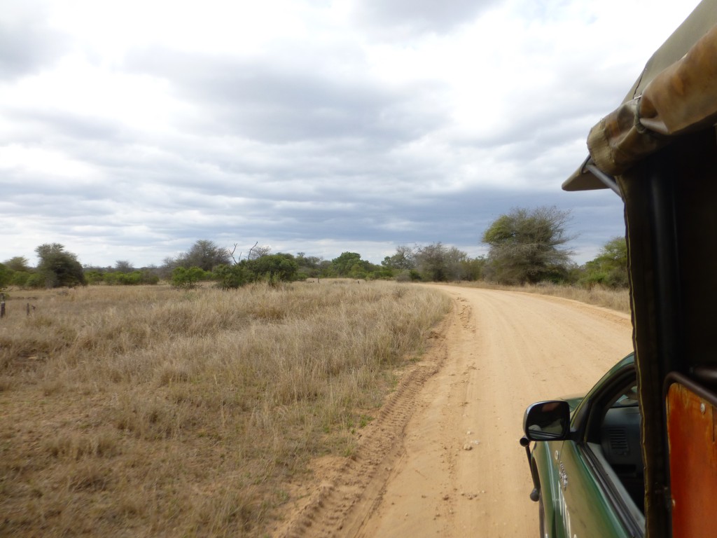 De derde dag van mijn Wildlife Avontuur, Zuid Afrika