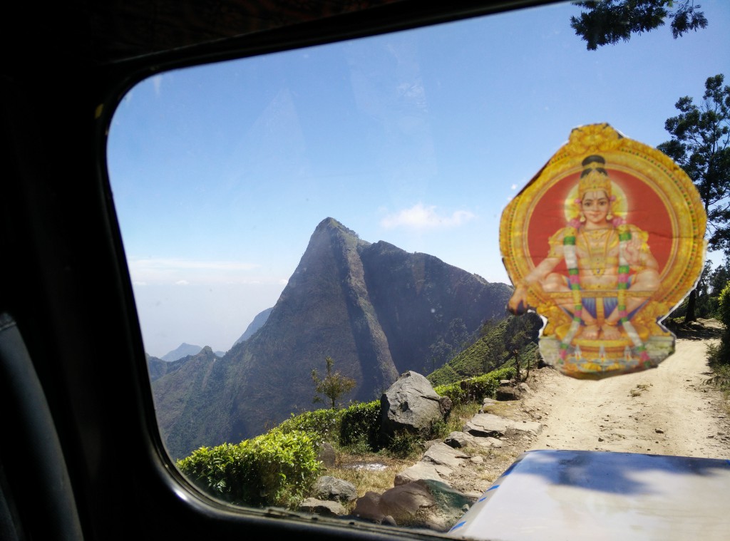 De tocht door de Theeplantages Munnar - Kerala