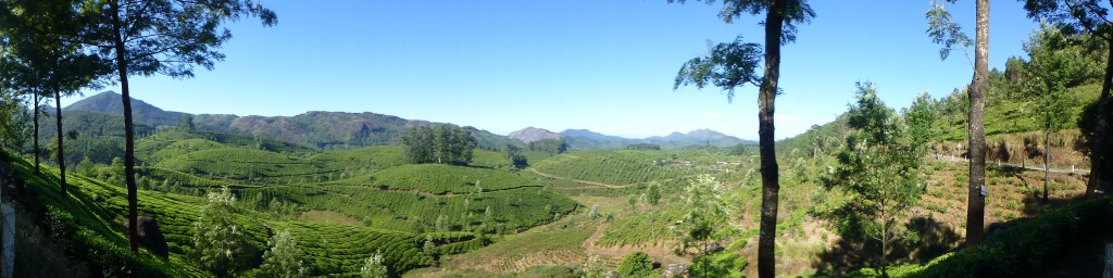 De tocht door de Theeplantages Munnar - Kerala