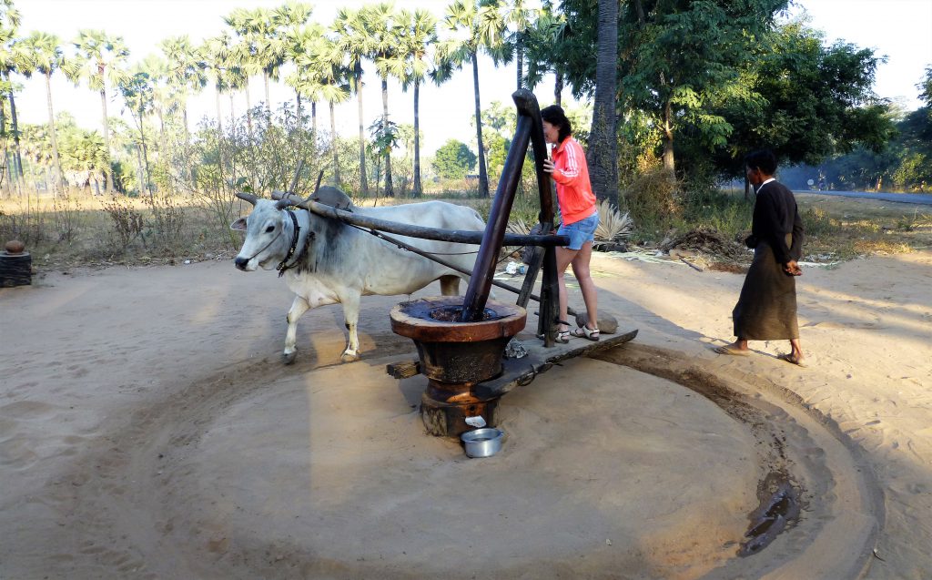 De berg Popa beklimmen nabij Bagan - Myanmar