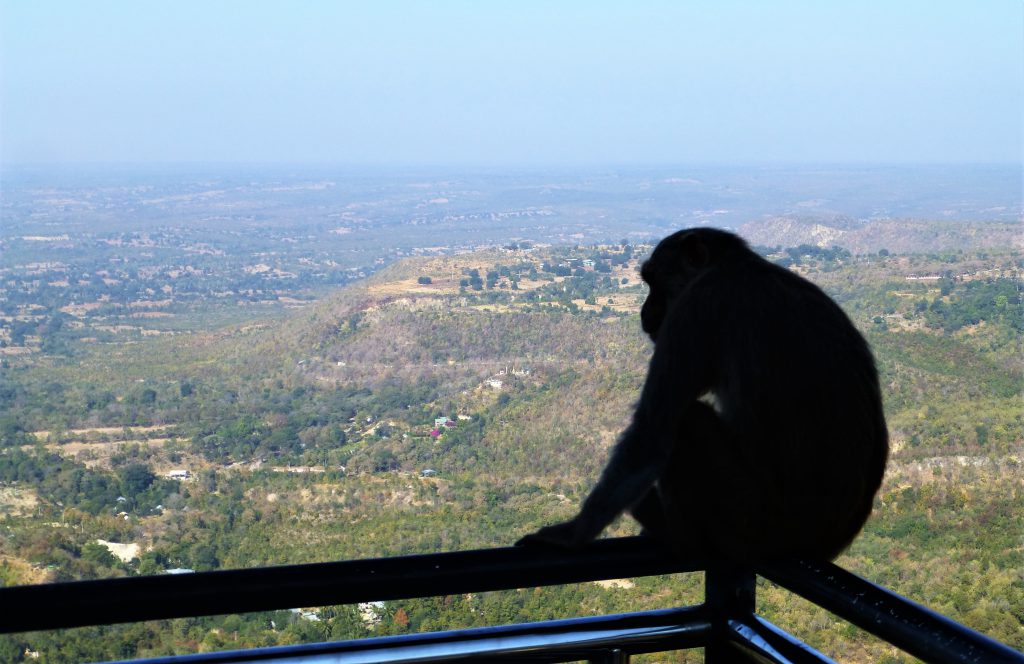 Climbing the 700 steps