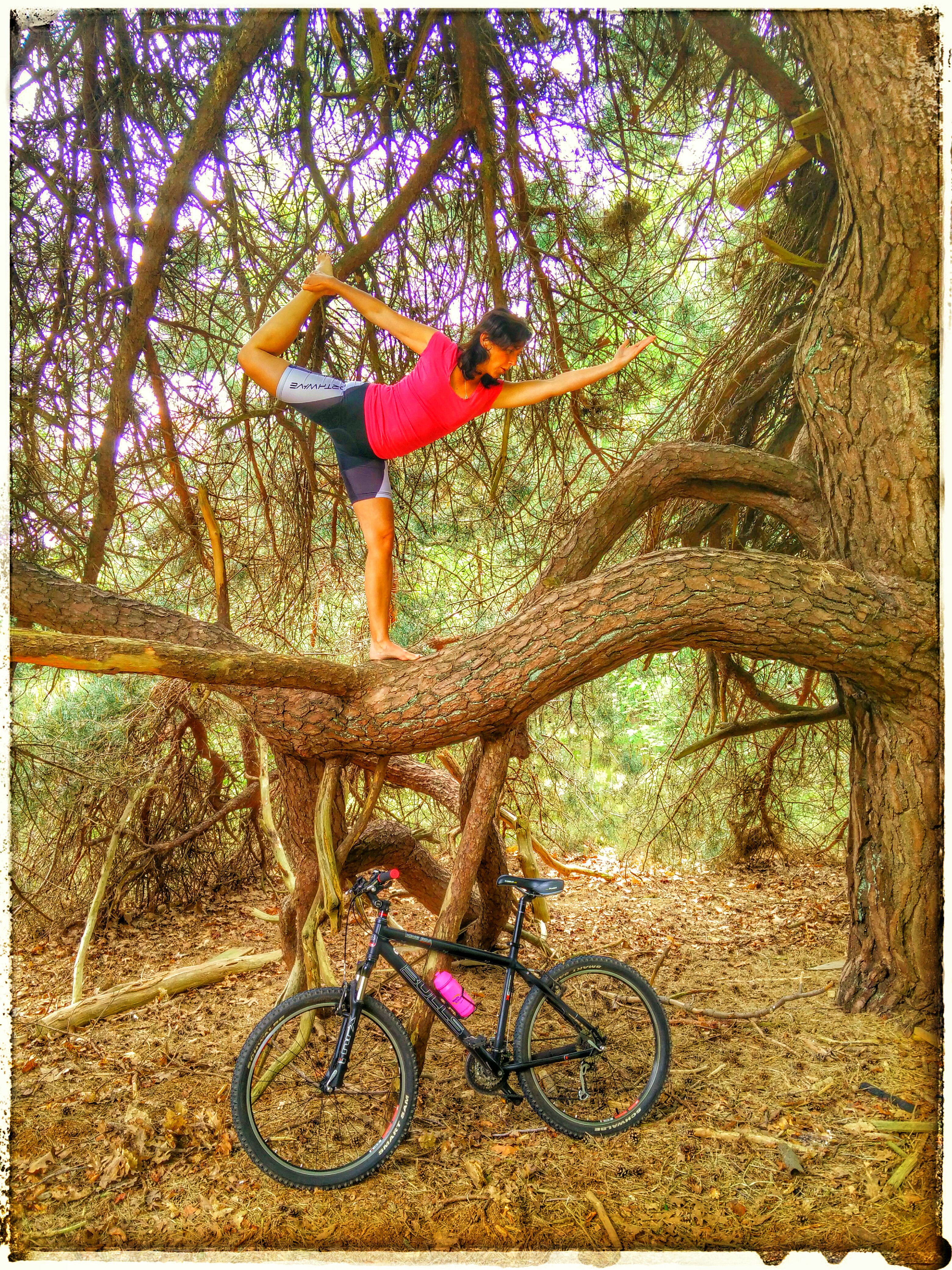 combining treeclimbing, mountainbiking and yoga 08010409