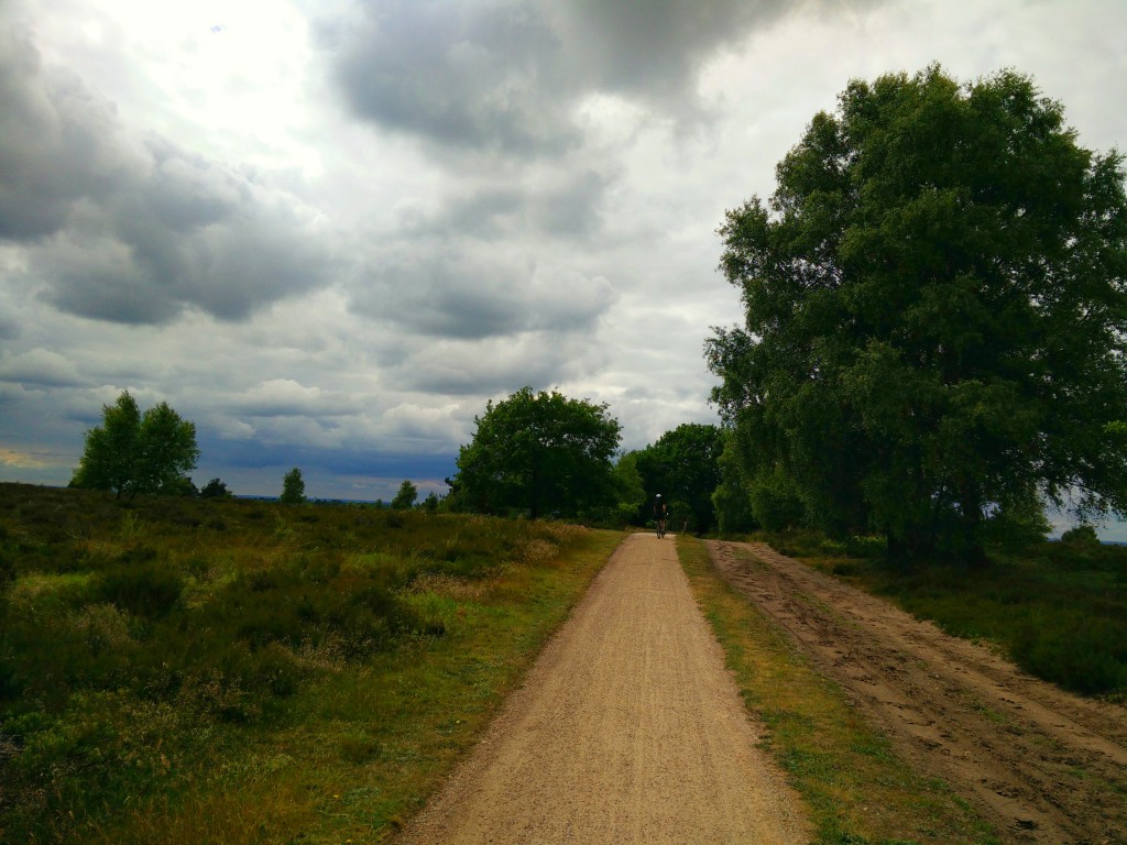 Landscape, Hellendoorn