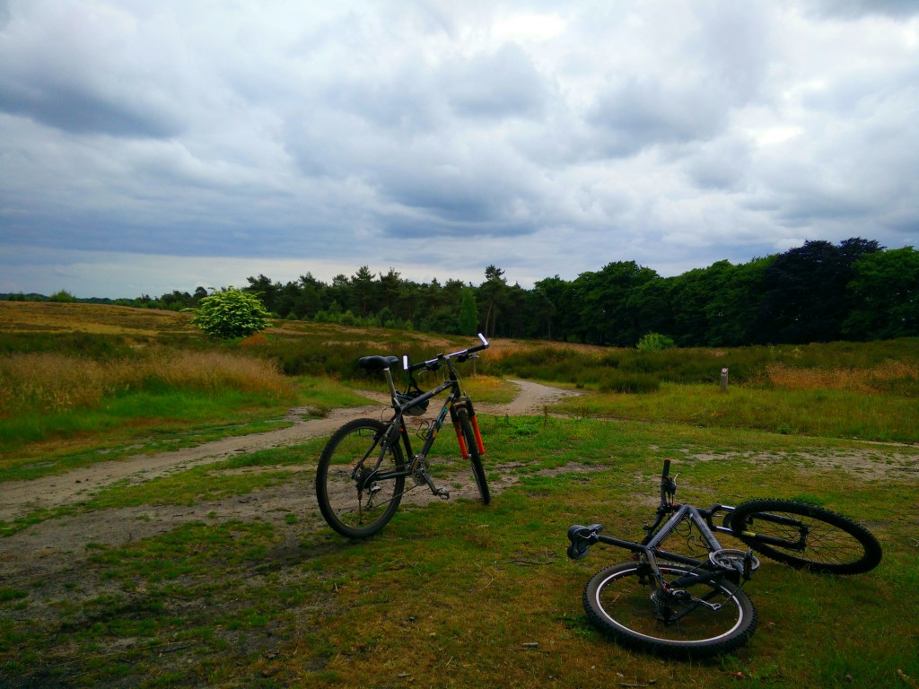 Mountainbiking Hellendoorn