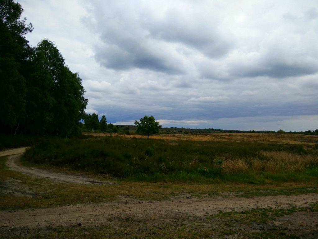 Landscape hellendoorn