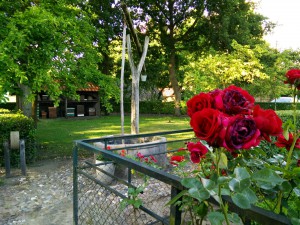 Red Rose, Hellendoorn