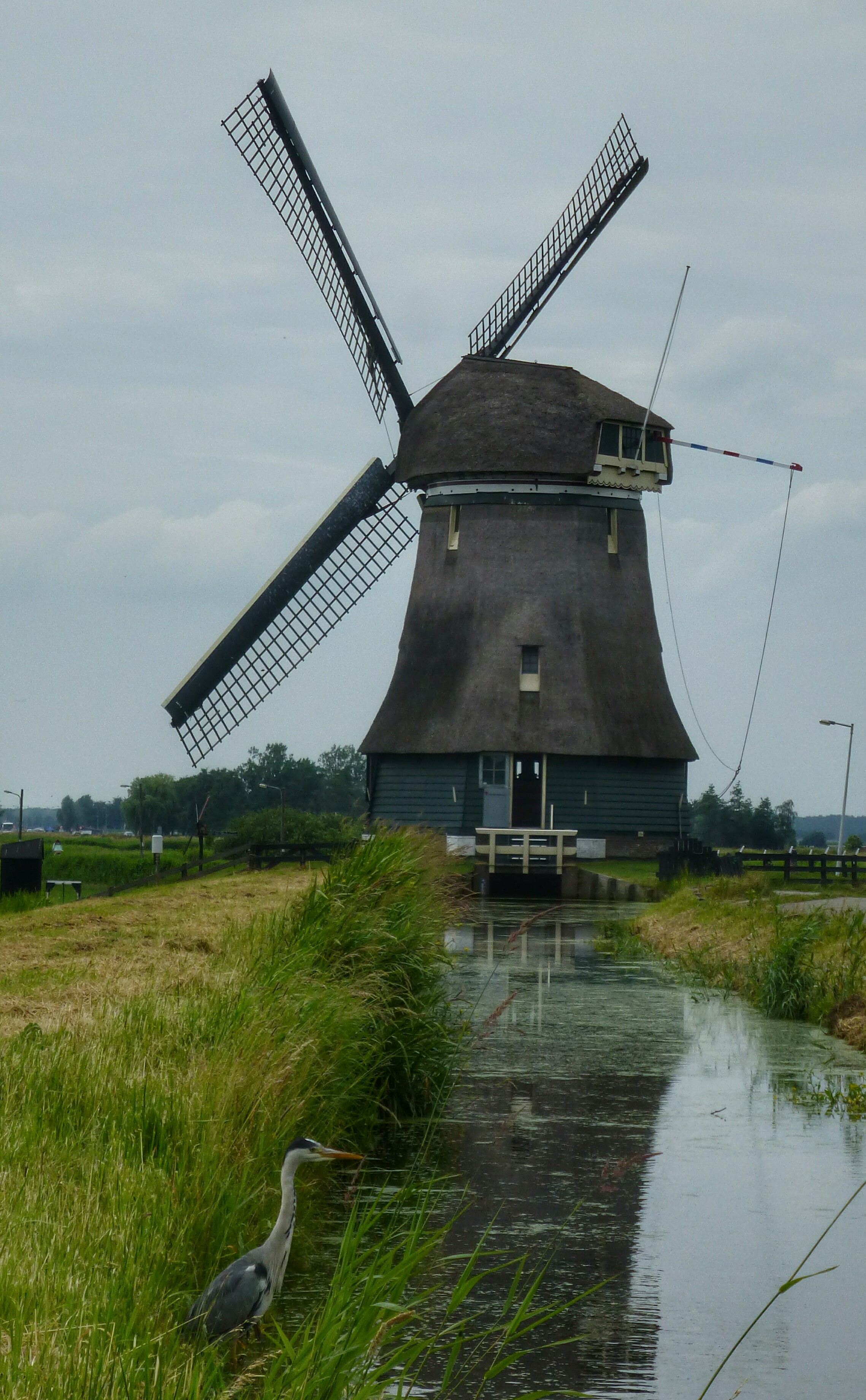 Volendam