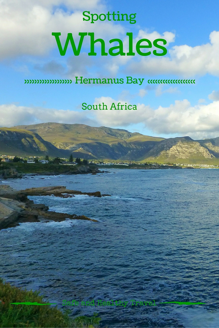 Spotting whales in Hermanus bay, South Africa