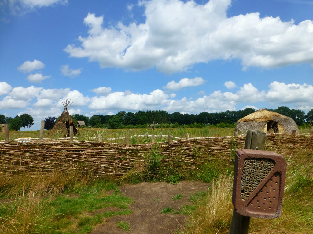 Hunebedden in Drenthe