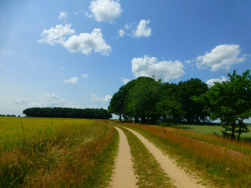 Op zoek naar de hunebedden in Drenthe, Nederland