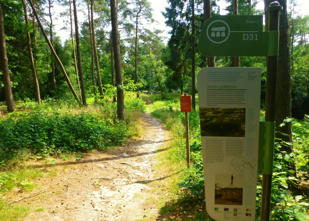 Hunebedden in Drenthe