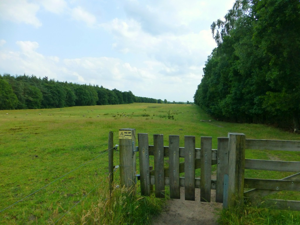 Op zoek naar de hunebedden in Drenthe, Nederland