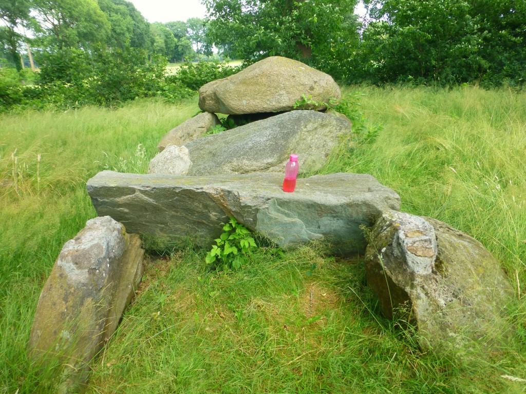 Hunebedden in Drenthe