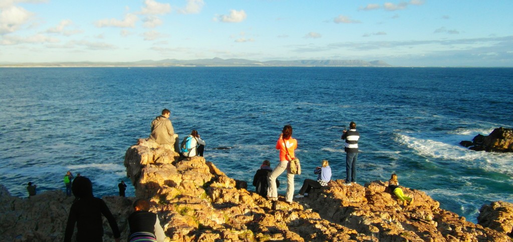 Walvis Spotten in Hermanus Baai, Zuid Afrika