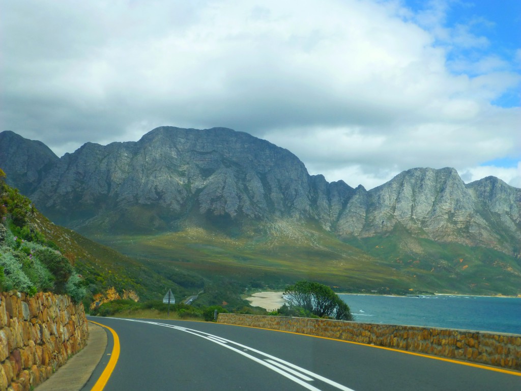 Spotting whales at Hermanus bay, South Africa