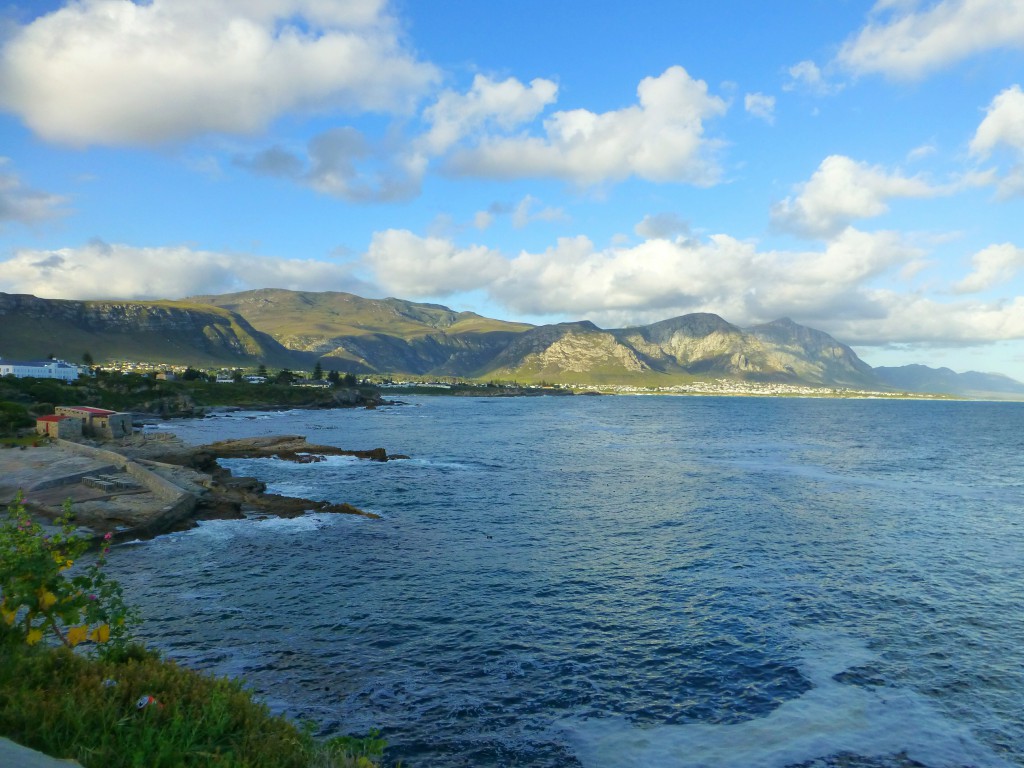 Spotting whales in Hermanus bay, South Africa