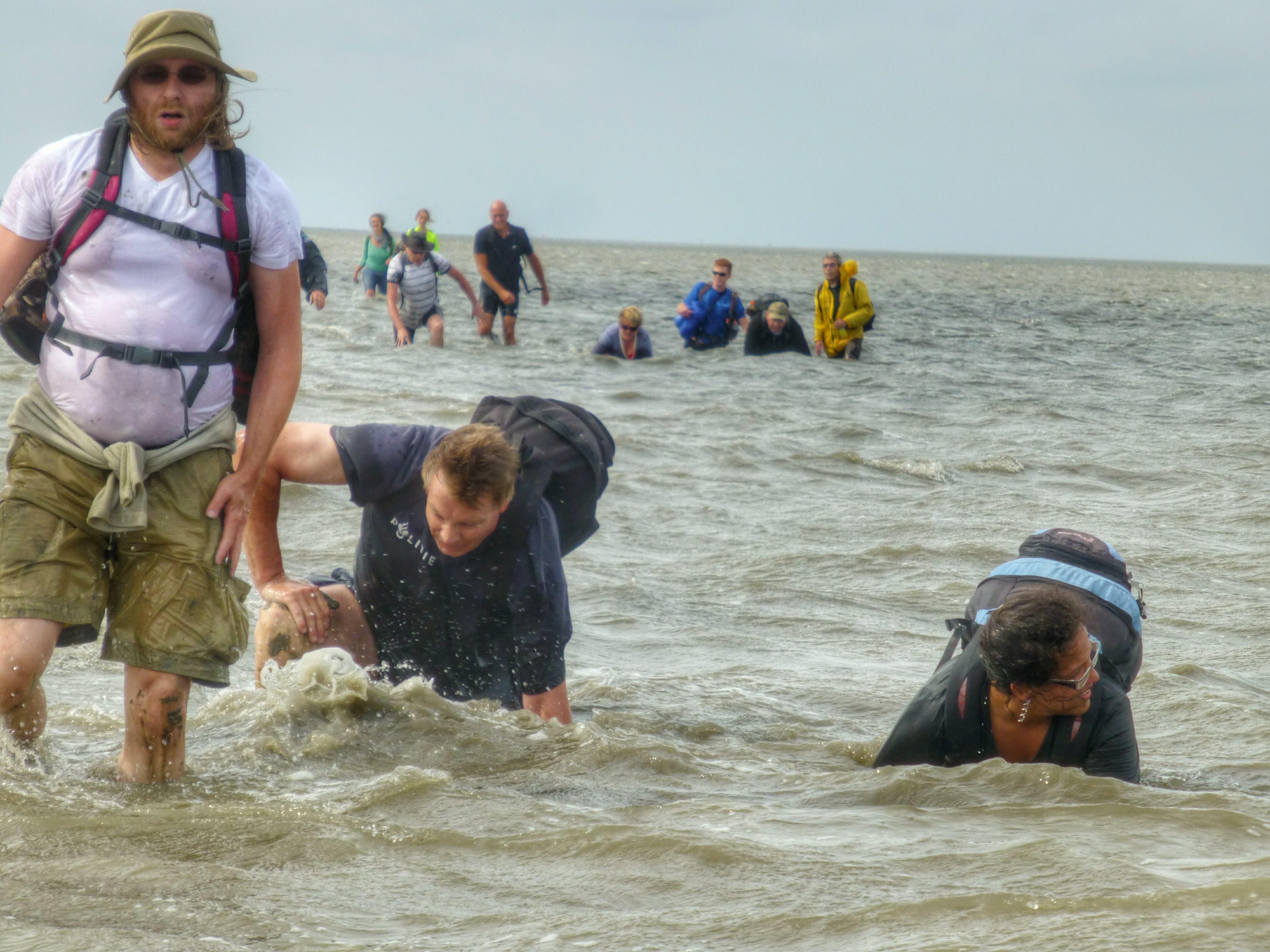 Crawling in the Waddensea