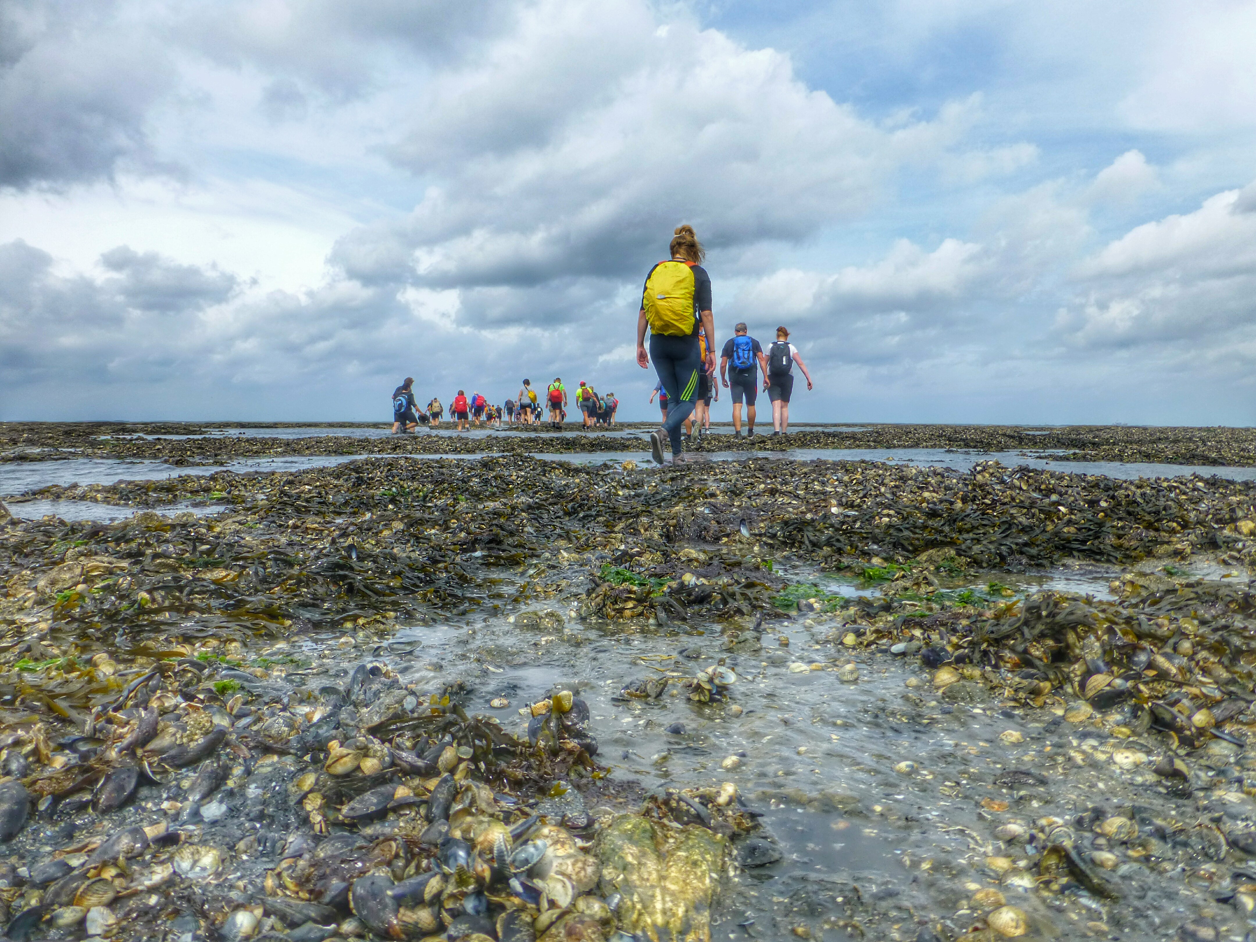 Walking On Shells, Waddensea