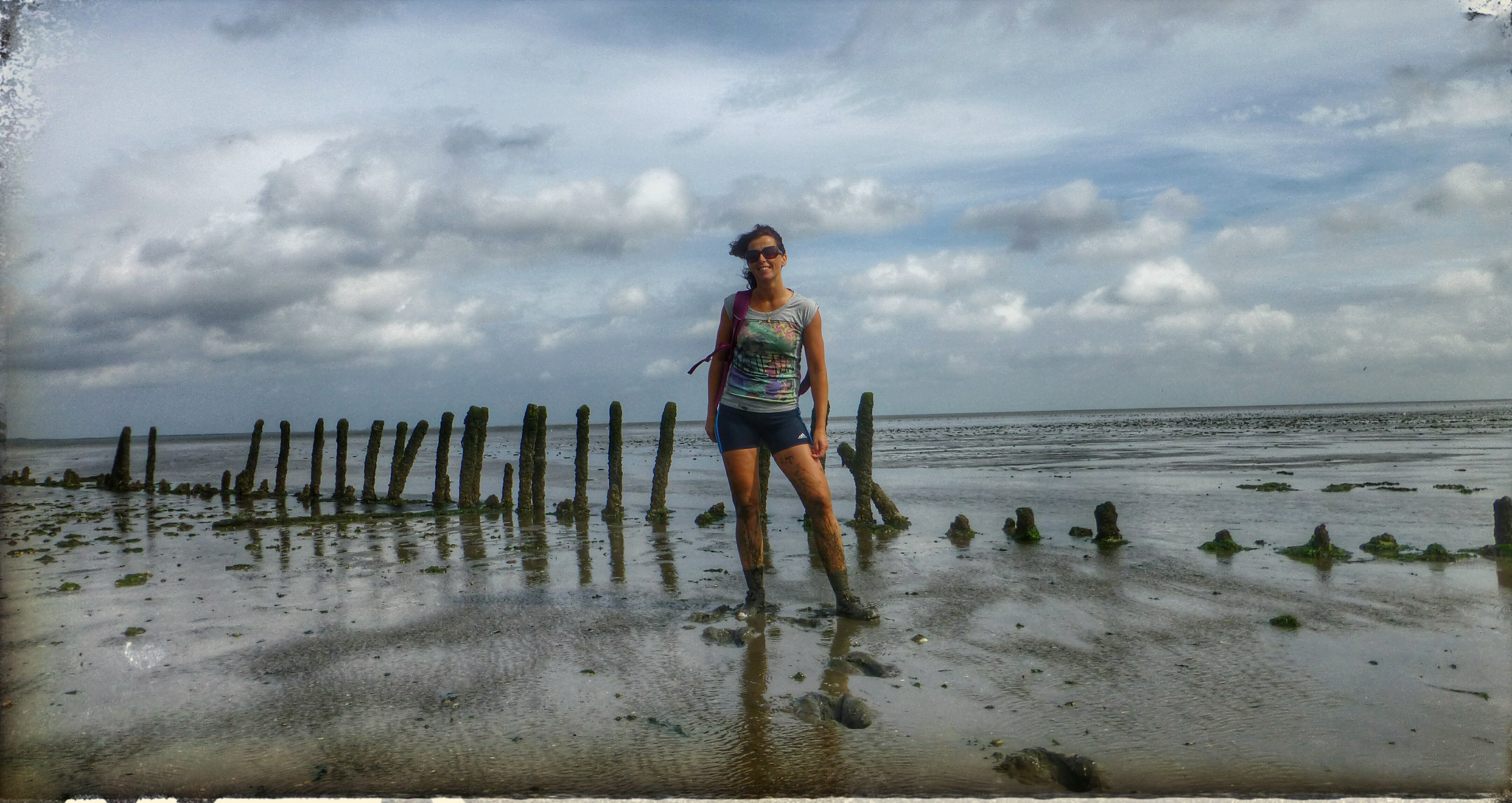 Intertidal Walk Netherlands