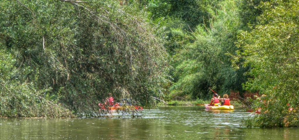 Kajakken op de rivier Ter, Colomers - Spanje - Een actief dagje nabij de kust van Estartit