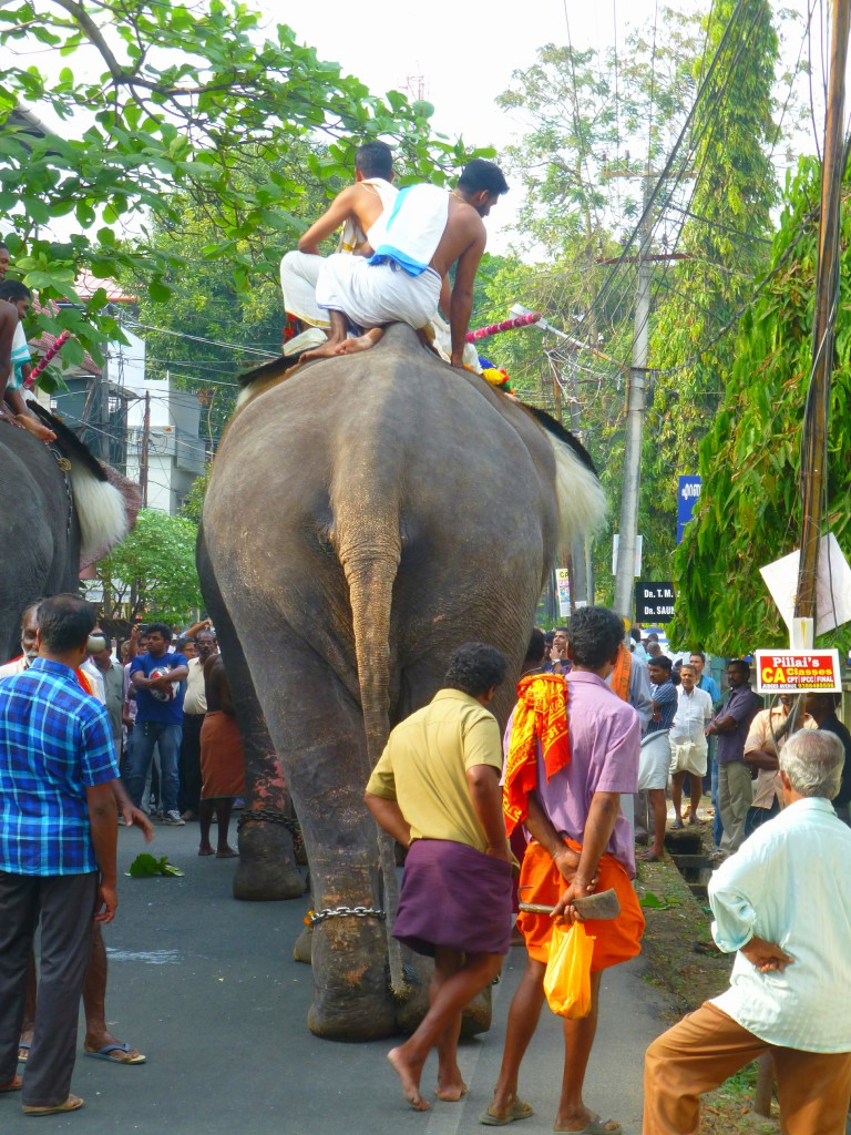 Rituelen, gepofte rijst en heilige olifanten in Cochin. Kerala - India