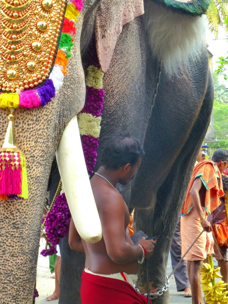 Rituals, Roasted Rice and Holy elephants