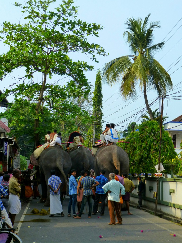 Rituelen, gepofte rijst en heilige olifanten van Cochin