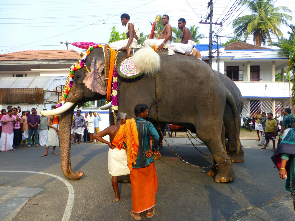 Rituelen, gepofte rijst en heilige olifanten in Cochin. Kerala - India