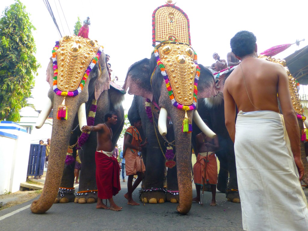 Rituelen, gepofte rijst en heilige olifanten in Cochin. Kerala - India