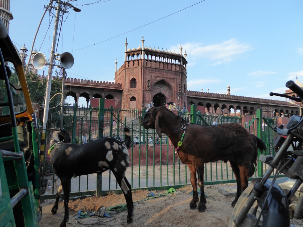 Rickshaw Ride in Old Delhi