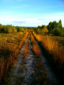 Mountainbiking Holterberg