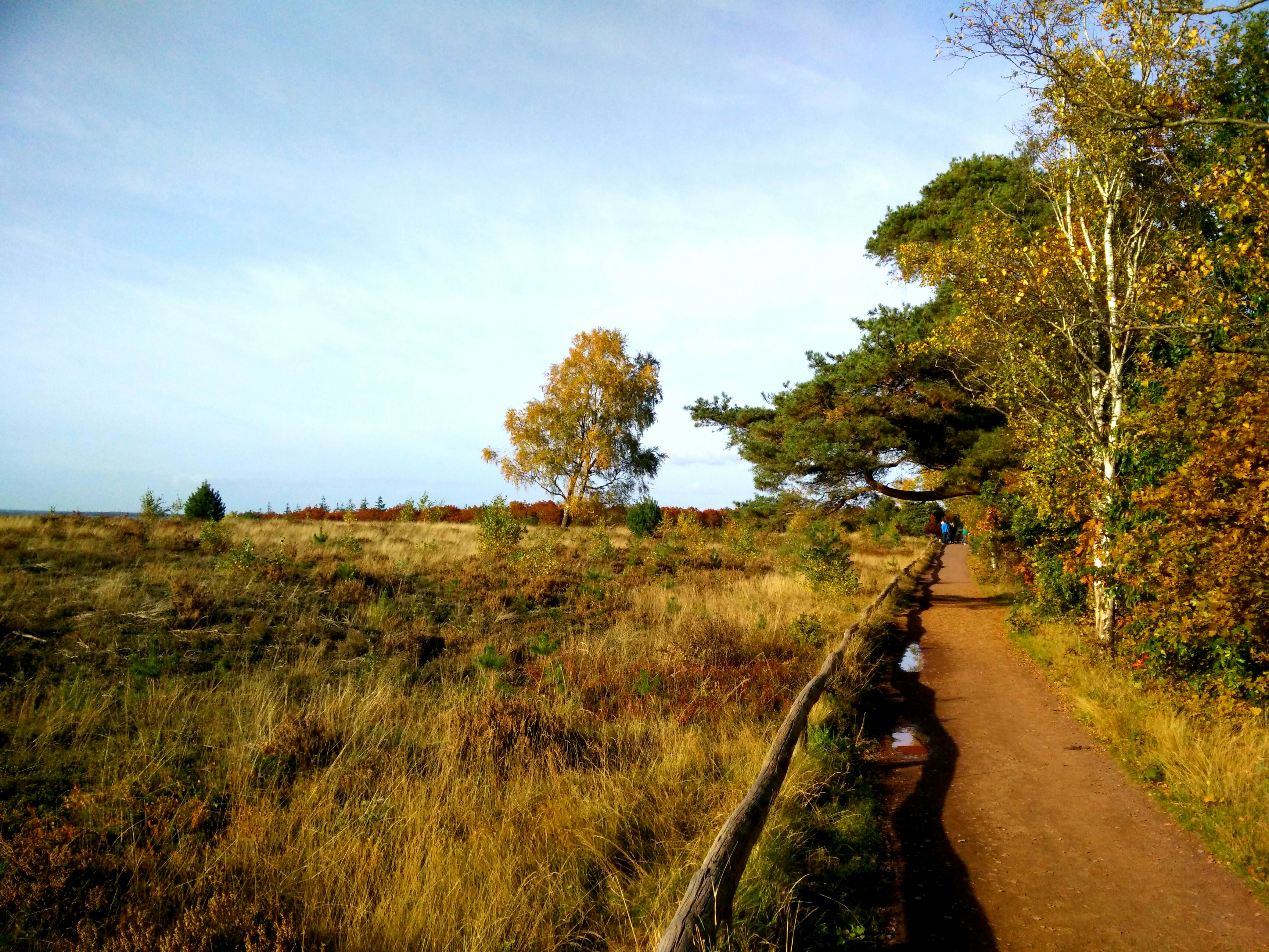 Mountainbiking Holterberg