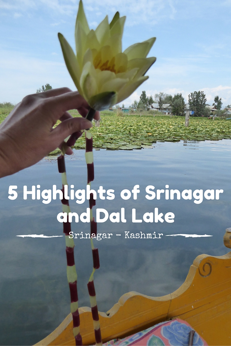 5 Highlights of Srinagar and Dal Lake