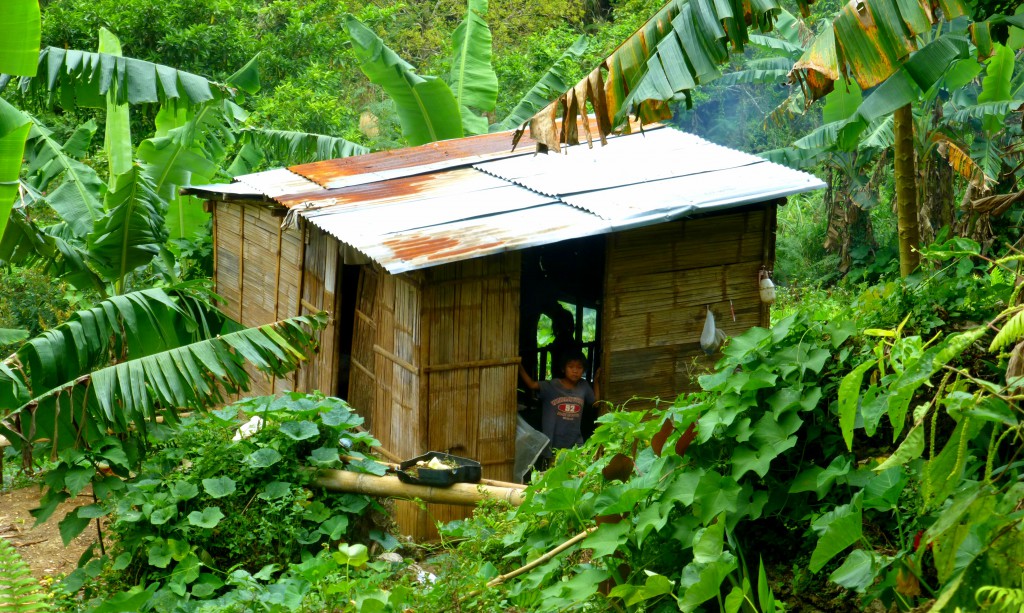 Boy in Village Osmena Peak