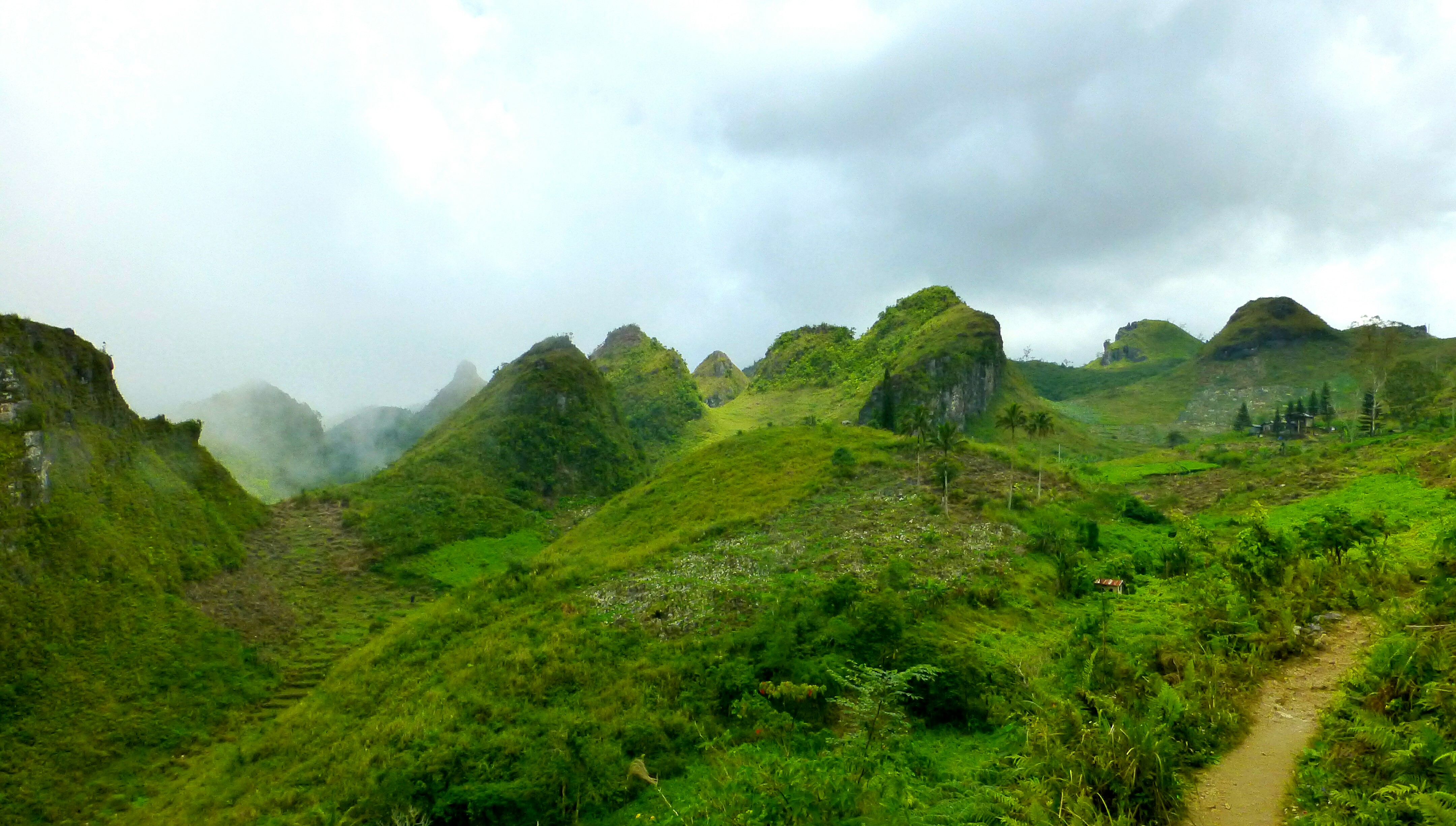 Hiking to Osmena Peak Cebu - Philippines - Safe and Healthy Travel