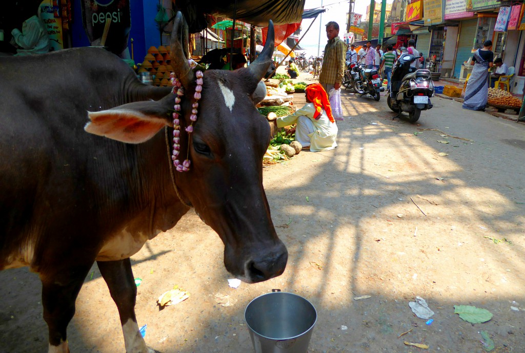 Dashashwamedh Ghat - Cookingclass, Varanasi 