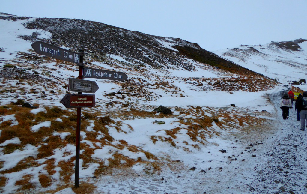 Badderen in een winterlandschap -IJsland