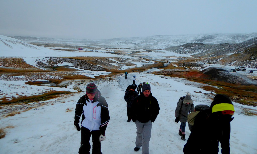 Badderen in een winterlandschap -IJsland
