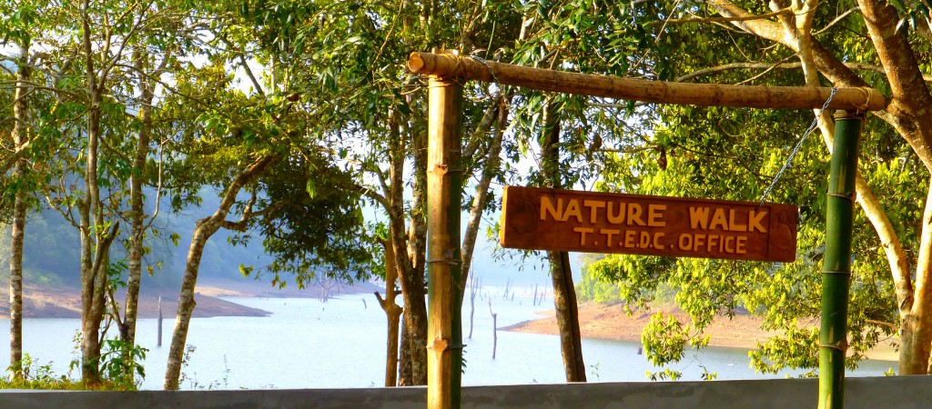 Periyar Tiger Reserve, Thekkady - Kerala, India