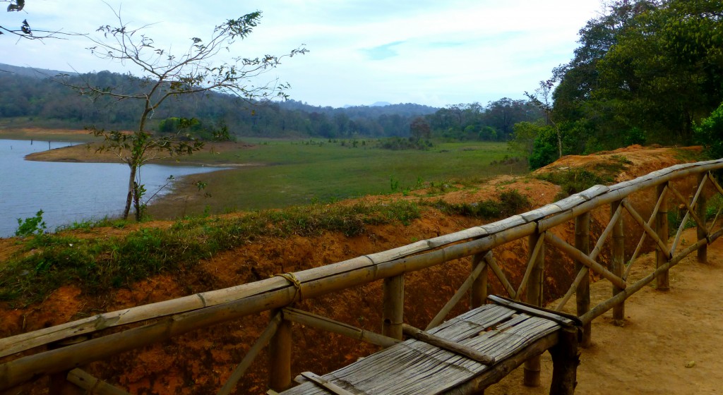 Tijger spotten - Periyar Tiger Resereve