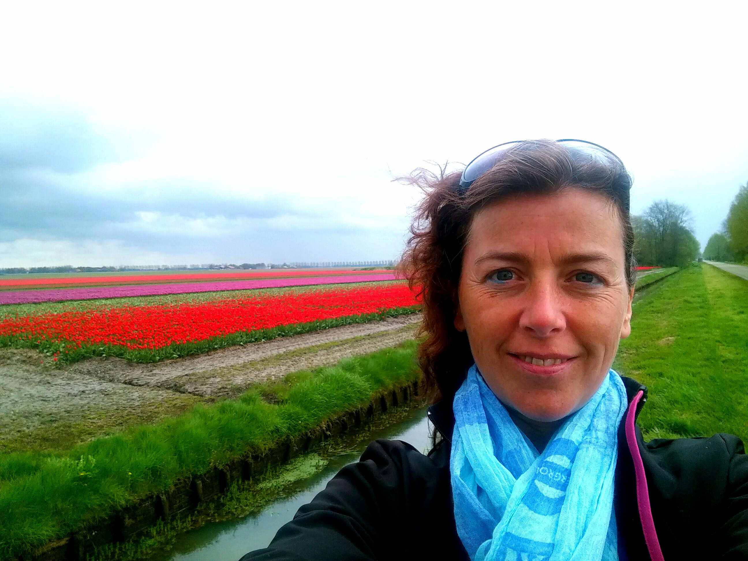 Tulip Route 2016 Holland