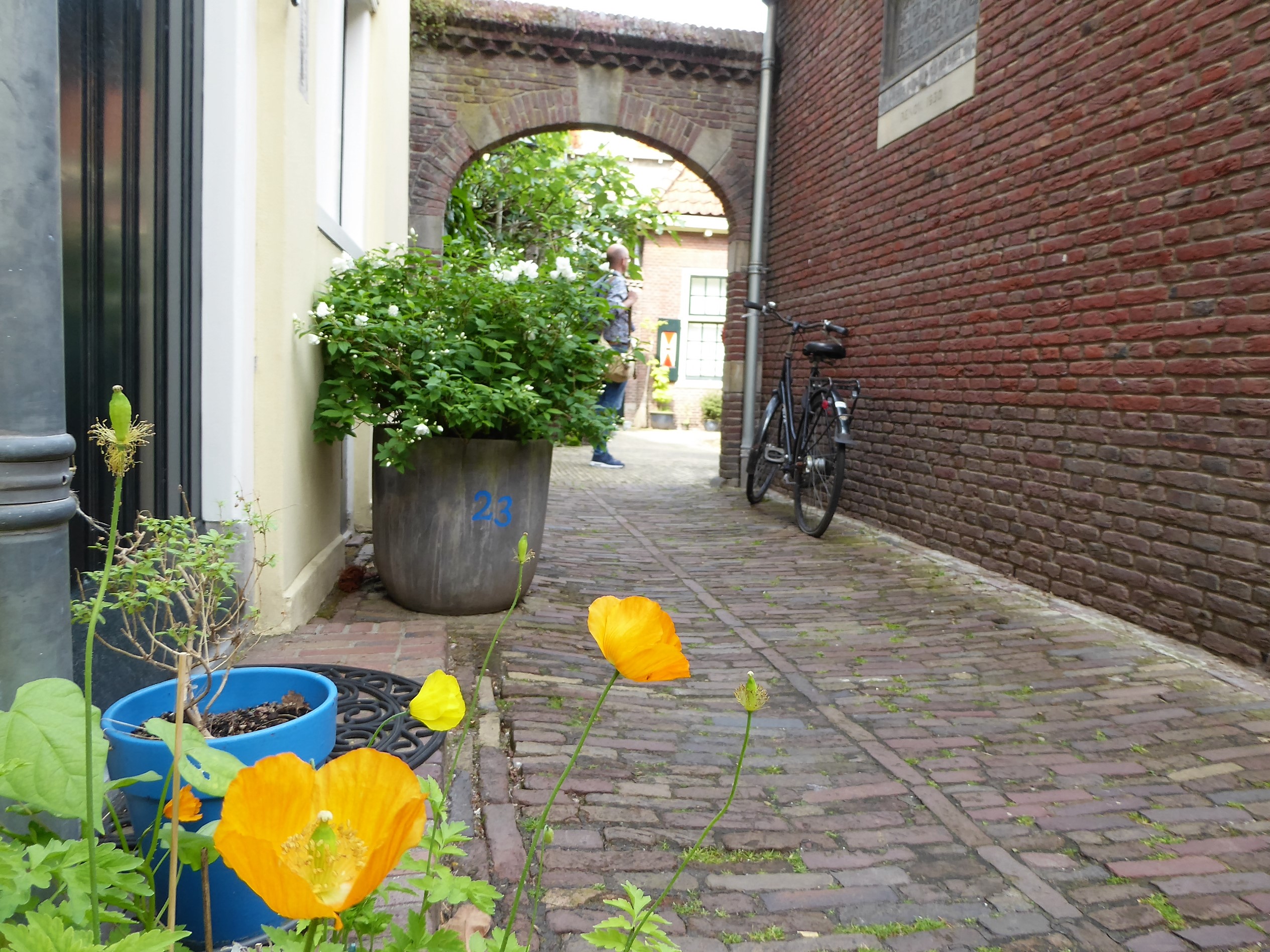 Deventer - Three Ideas for Walking