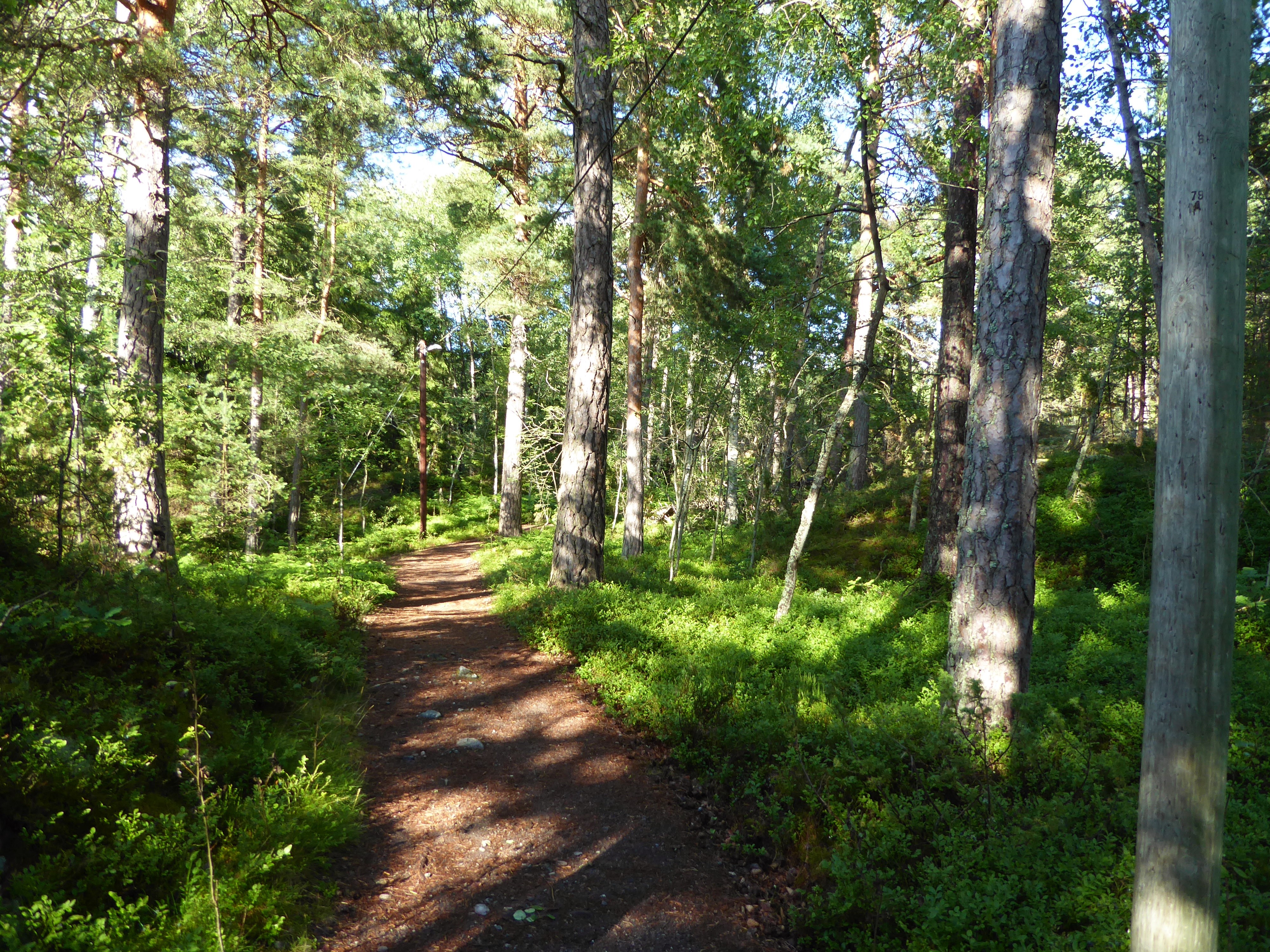 Djurönäset Archipelago Stockholm