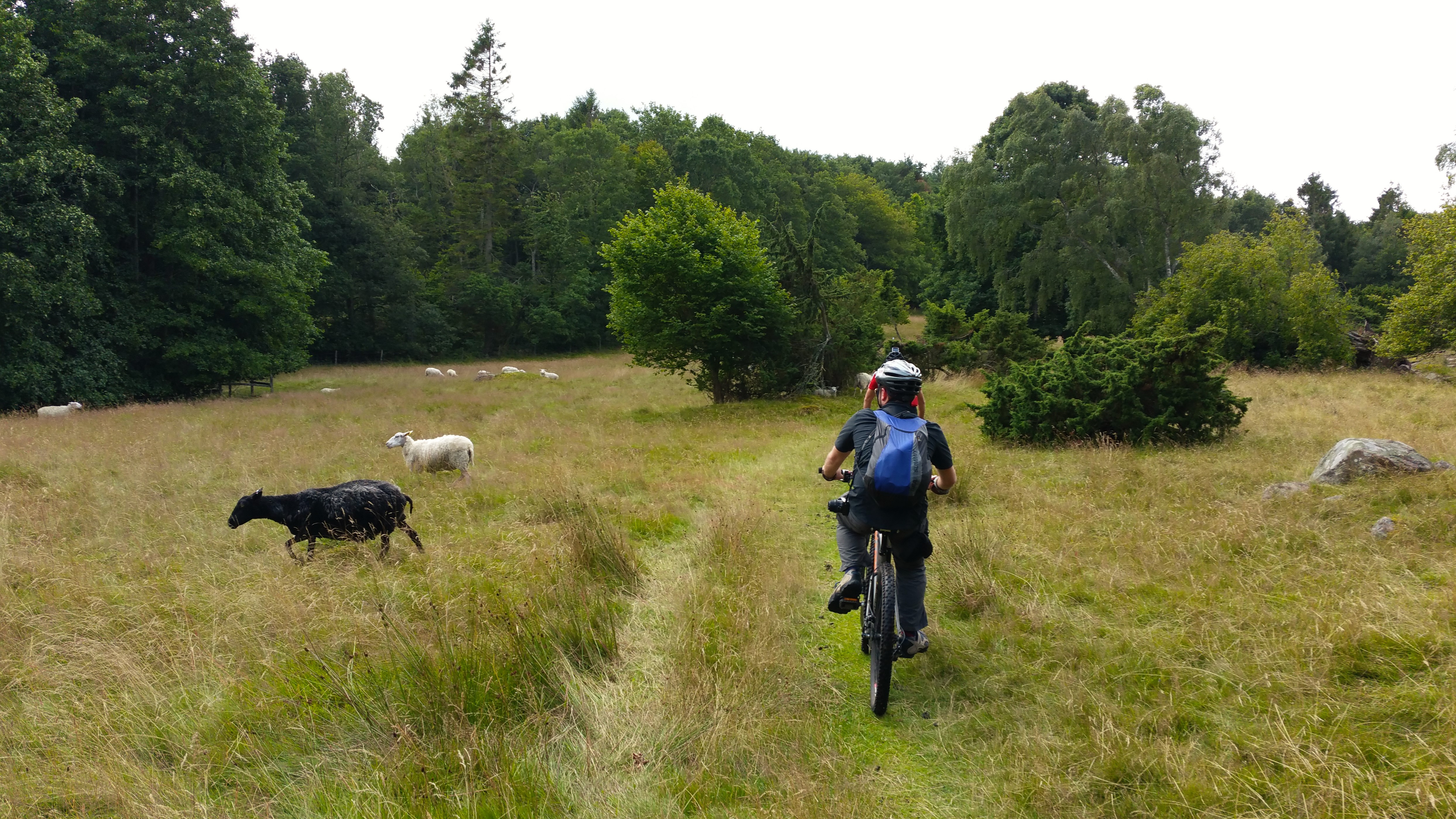 Fietsroute Kattegatleden, Zweden